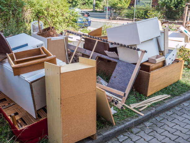 Yard Cleanup Services in Sycamore, GA